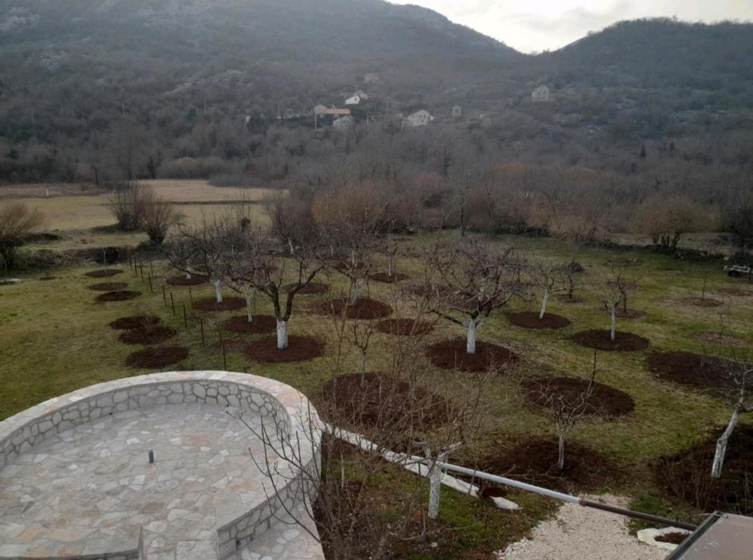 Gasthaus Aleksa Cetinje Exterior foto