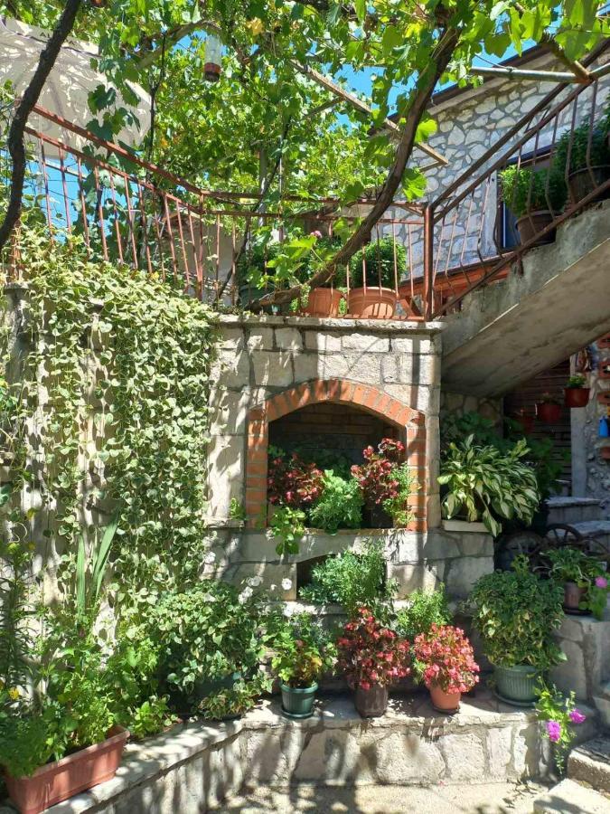 Gasthaus Aleksa Cetinje Exterior foto