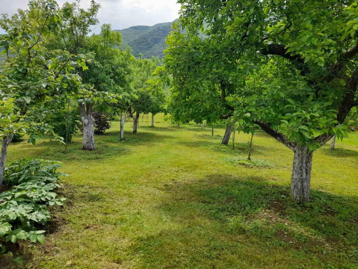 Gasthaus Aleksa Cetinje Exterior foto
